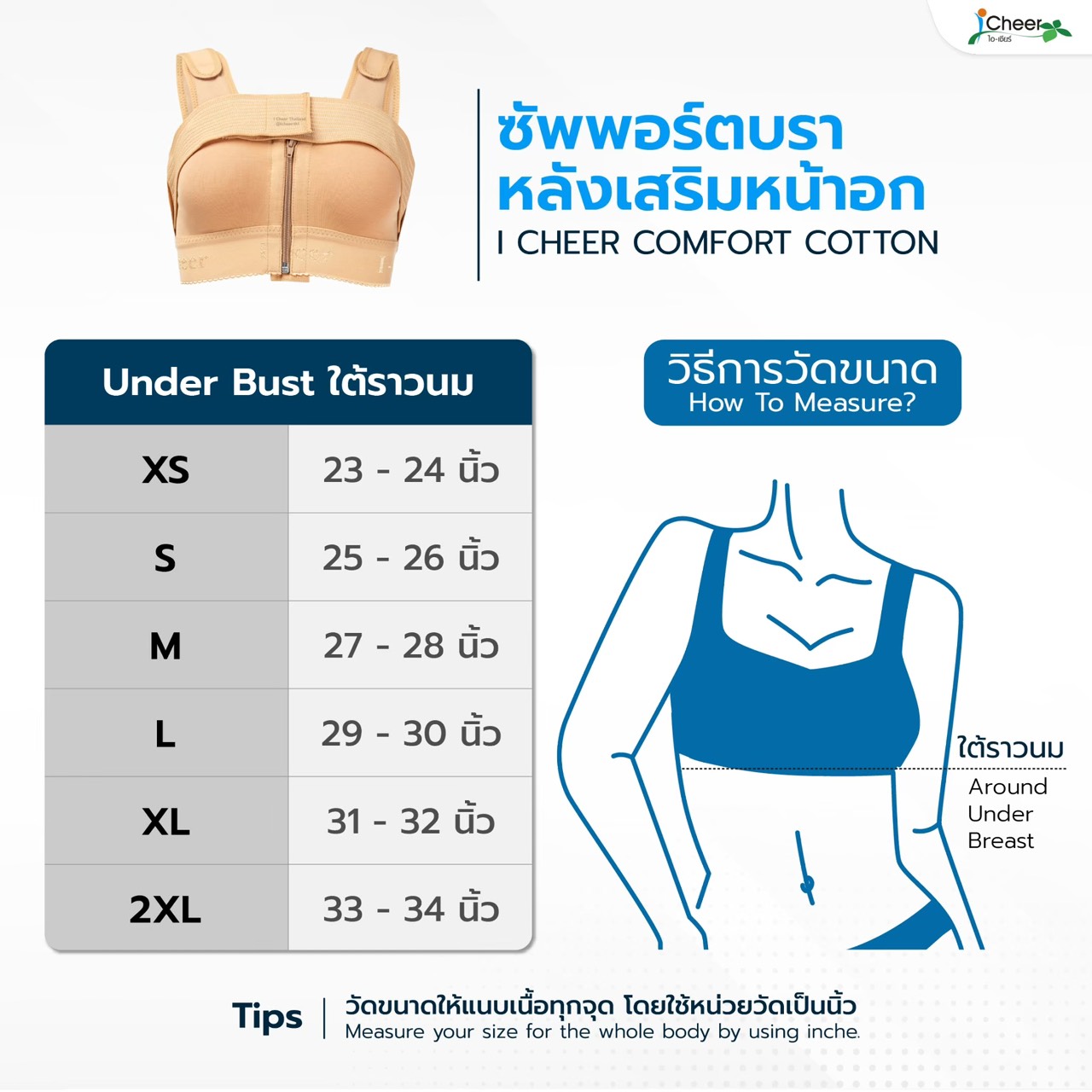 ตารางไซส์